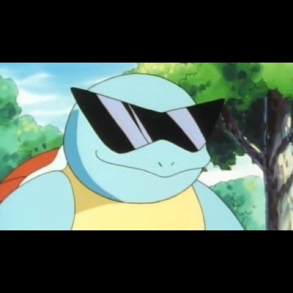 Meet your Posher, Kobe - Picture 1 of 1